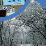 Annual Report 2020